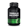 BioTech USA - Tribulus Maximus 90 comprimés