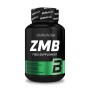 BioTech USA - ZMB