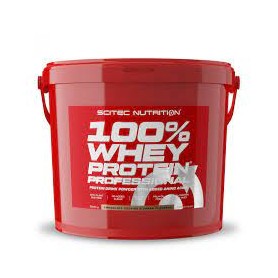 100% Whey Protein Professional Scitec Nutrition - 100% Whey Protein Professional